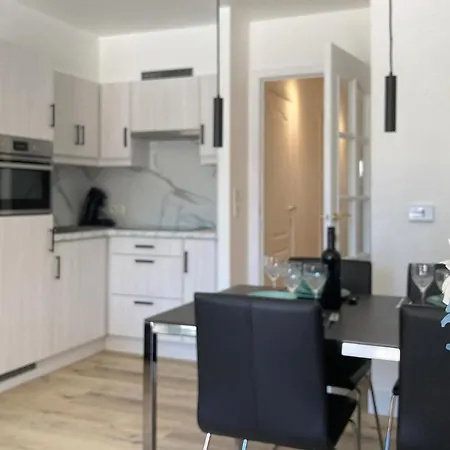 Apartment Pet Friendly In With Wifi *